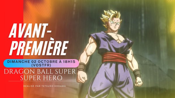 10.02 AVP Dragon ball.jpg