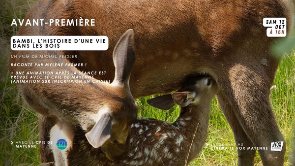 10.12bambi.jpg