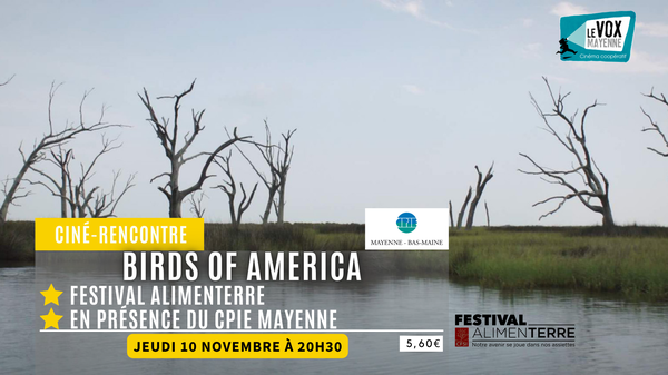 11.10 Birds of America.png