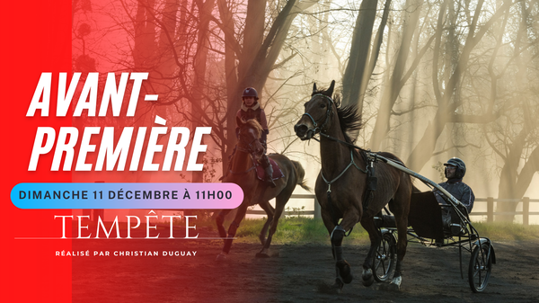 12.11 Tempête.png