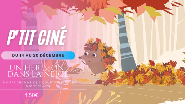 12.14-20 Un hérisson dans la neige.png