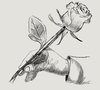 Le verbe de la rose